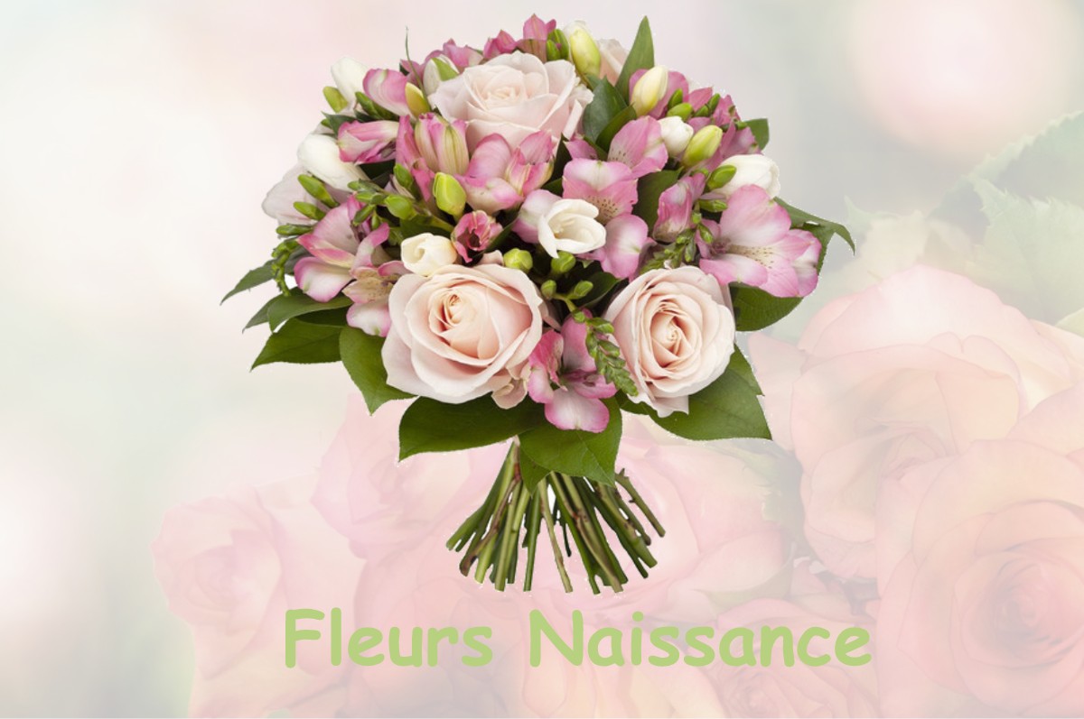 fleurs naissance MONESTIER-DE-CLERMONT