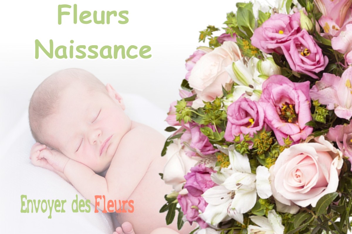 lIVRAISON FLEURS NAISSANCE à MONESTIER-DE-CLERMONT